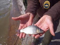 240312_p1_zart_039