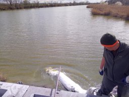 240312_p1_zart_043