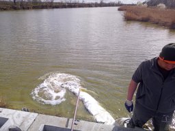 240312_p1_zart_044