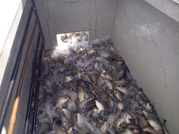 240312_p1_zart_047