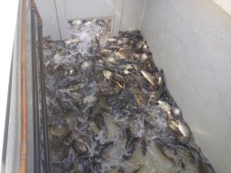 240312_p1_zart_061