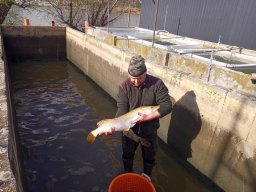240312_cs_extra_002
