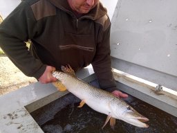 240312_cs_extra_008