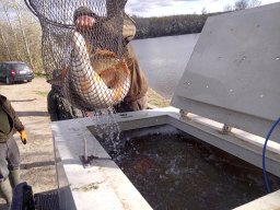240312_cs_extra_010