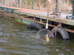 240312_cs_extra_024