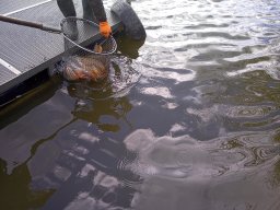 240312_cs_extra_030