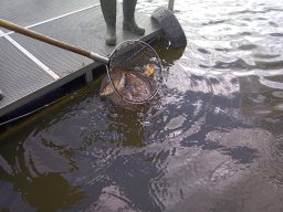 240312_cs_extra_031