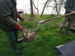 240312_cs_extra_051