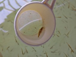 240328_csiva_004