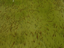 240328_csiva_006