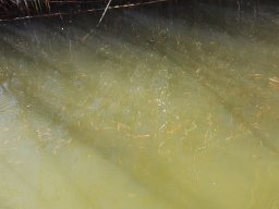 240328_csiva_014