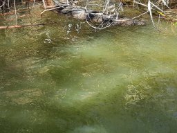 240328_csiva_028