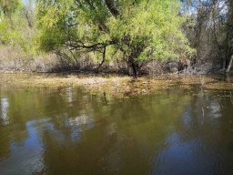 240328_csiva_045