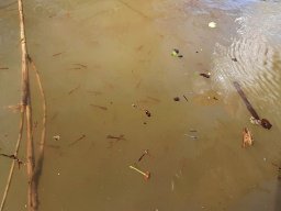 240328_csiva_048