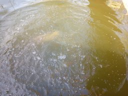 240305_csextra_044