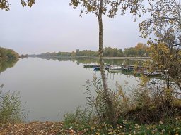 241115_compo_001