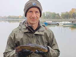 241115_compo_002