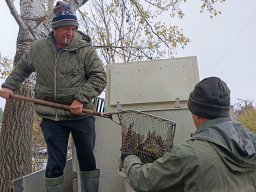 241115_compo_005