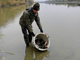 241115_compo_008