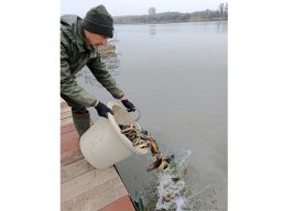 241115_compo_014