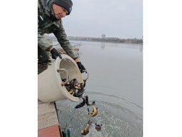 241115_compo_015