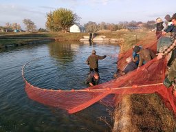 241030_h1_tisza-maros_apfe001