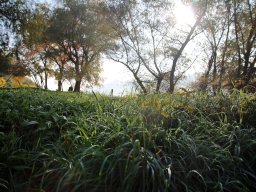 241030_h1_tisza-maros_apfe008