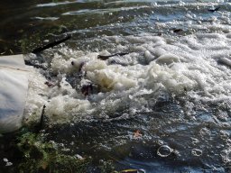 241030_h1_tisza-maros_apfe019