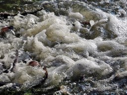 241030_h1_tisza-maros_apfe020