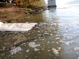 241030_h1_tisza-maros_apfe029