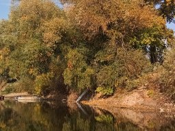 241030_h1_tisza-maros_apfe034