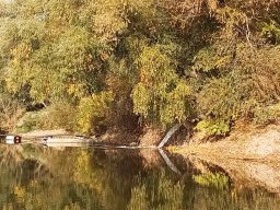 241030_h1_tisza-maros_apfe035