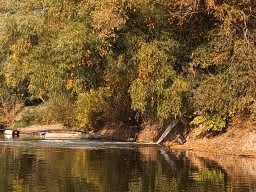 241030_h1_tisza-maros_apfe037