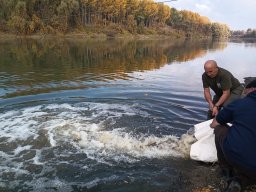 241030_h1_tisza-maros_apfe040