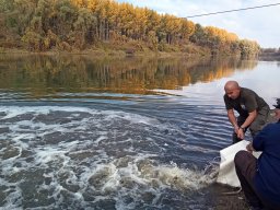 241030_h1_tisza-maros_apfe042