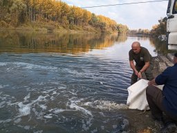 241030_h1_tisza-maros_apfe043