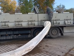 241030_h1_tisza-maros_apfe044
