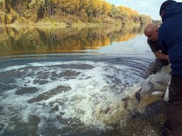 241030_h1_tisza-maros_apfe047
