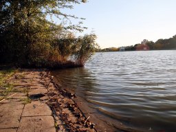 241007_p3_005