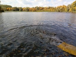 241009_p3_042