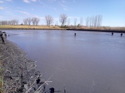 240325_p3_holtagak_001