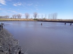 240325_p3_holtagak_002