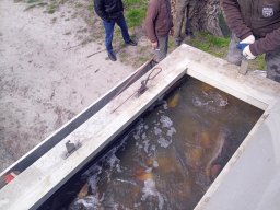 240325_p3_holtagak_019
