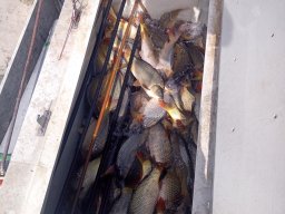 240325_p3_holtagak_023