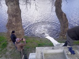 240325_p3_holtagak_042