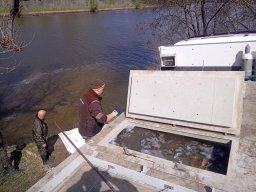 240325_p3_holtagak_077