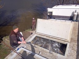 240325_p3_holtagak_087