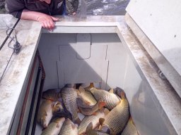 240325_p3_holtagak_105