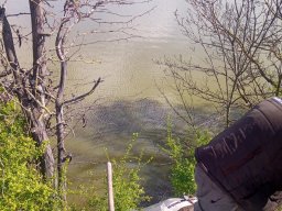 240325_p3_holtagak_112
