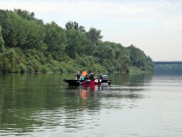 240907_harcsafogo_018